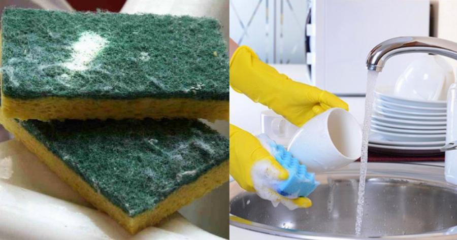 Είναι γεμάτο βακτήρια: Πως να απολυμάνετε σφουγγαράκι πιάτων σε 3 λεπτά