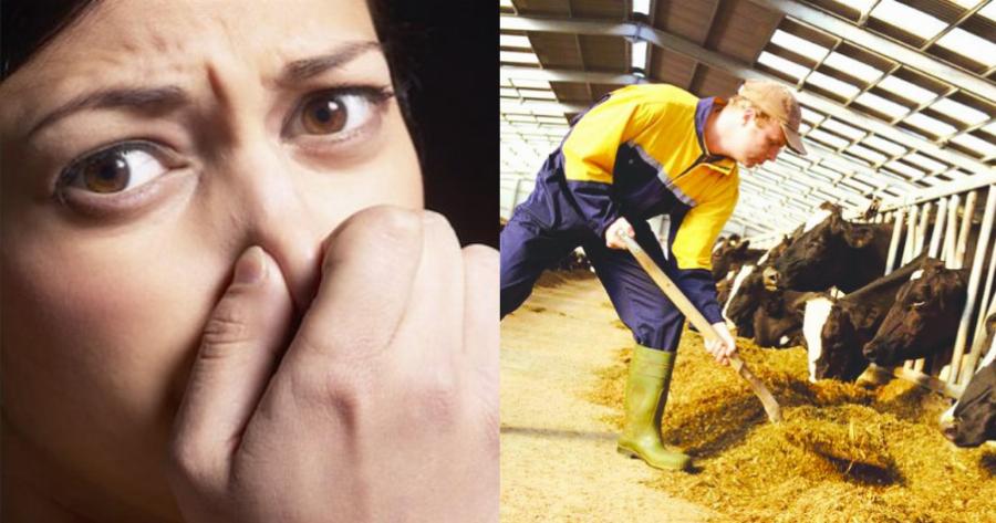 “Ο άντρας μου έγινε κτηνοτρόφος και μυρίζει τόσο που δεν τον αντέχω στο κρεβάτι. Να χωρίσω;”