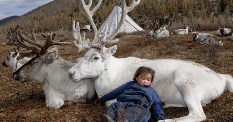 Φωτογράφος αιχμαλωτίζει την ομορφιά μιας από τις πιο σπάνιες φυλές της Μογγολίας