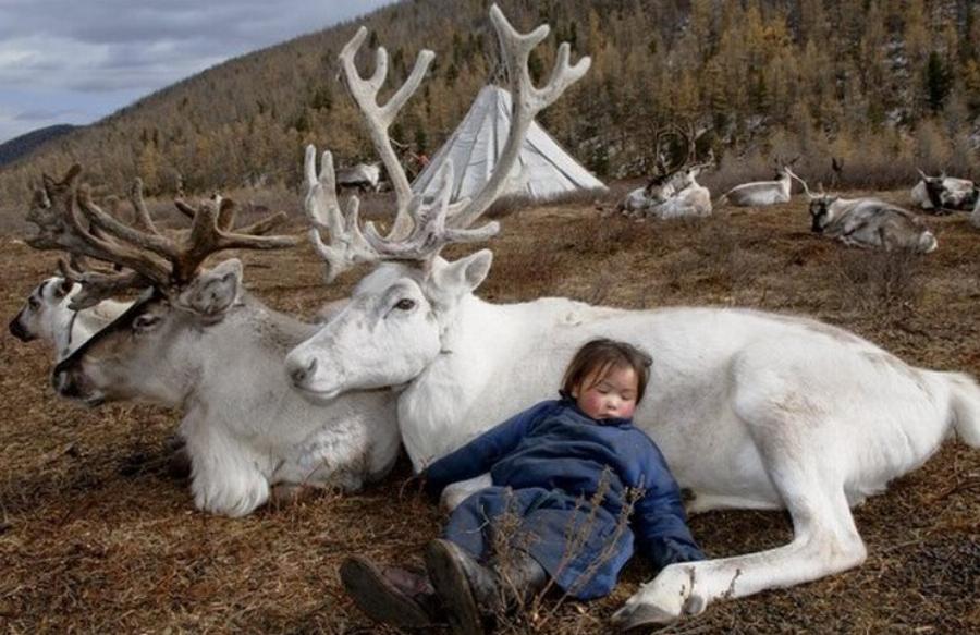 Φωτογράφος αιχμαλωτίζει την ομορφιά μιας από τις πιο σπάνιες φυλές της Μογγολίας
