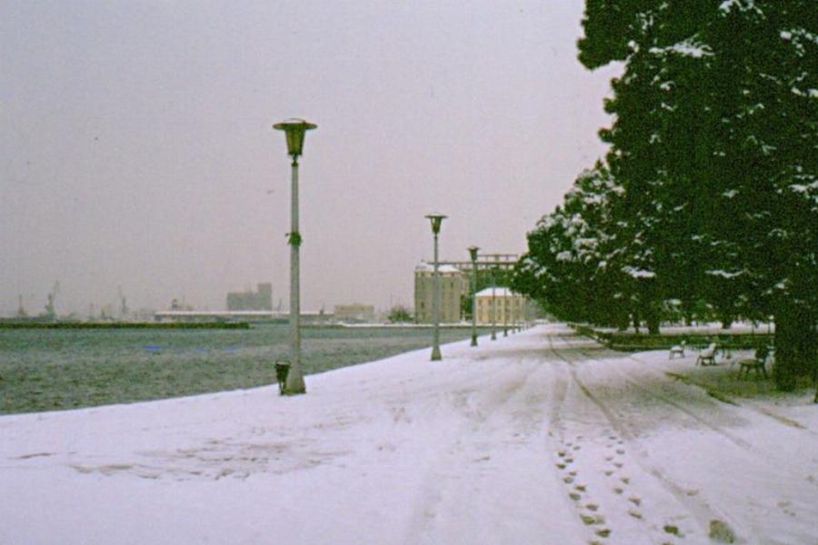 Ο παγωμένος Μάρτιος της Ελλάδας: Όταν η Ελλάδα μπήκε στο ψυγείο για 15 μέρες, μέσα από σπάνιες φωτογραφίες