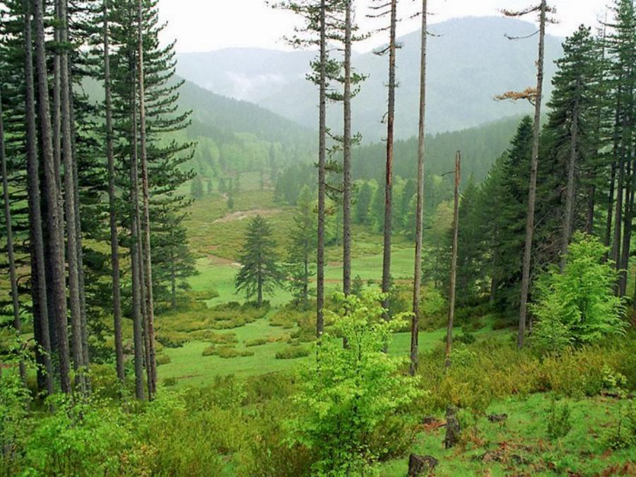 Ακόμη και τον Αύγουστο, κοιμάσαι με κουβερτούλα: Το παραμυθένιο χωριό της Ελλάδος