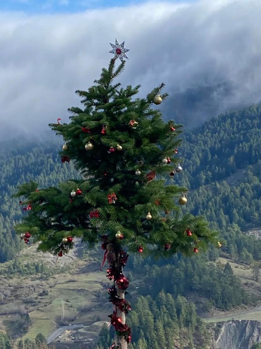 Ζευγάρι στολίζει δέντρο στο βουνό: Ένα ξεχωριστό χριστουγεννιάτικο δέντρο στο Ανήλιο Μετσόβου
