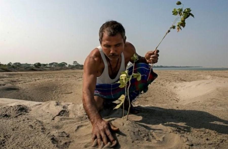 Αληθινός ήρωας: Άντρας φύτεψε μόνος του ένα ολόκληρο δάσος και έσωσε το νησί του