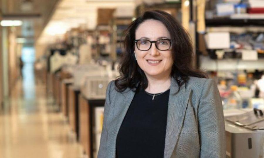 Διεθνής βράβευση για Ελληνίδα γιατρό: Τιμάται για  καινοτομία στην έρευνα της σκλήρυνσης κατά πλάκας