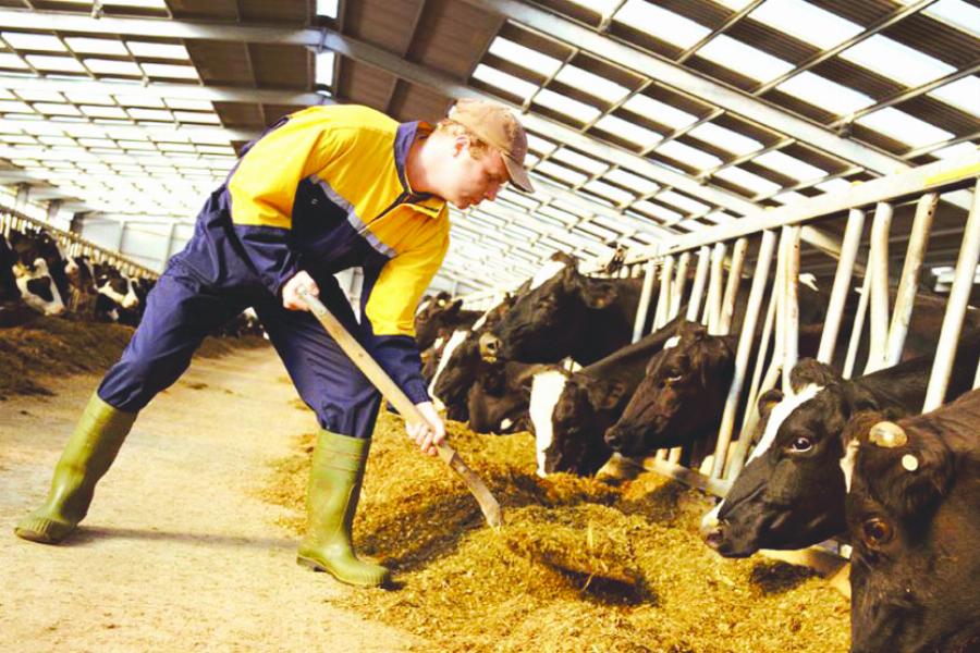 “Ο άντρας μου έγινε κτηνοτρόφος και μυρίζει τόσο που δεν τον αντέχω στο κρεβάτι. Να χωρίσω;”