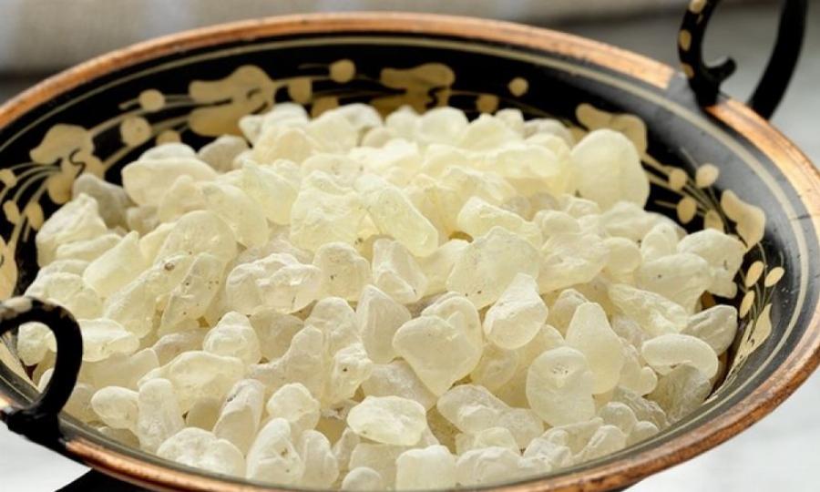 Μαστίχα Χίου: Έχει 70 θεραπευτικές ιδιότητες – Έχει αντικαρκινική δράση και αντιβακτηριδιακές ιδιότητες