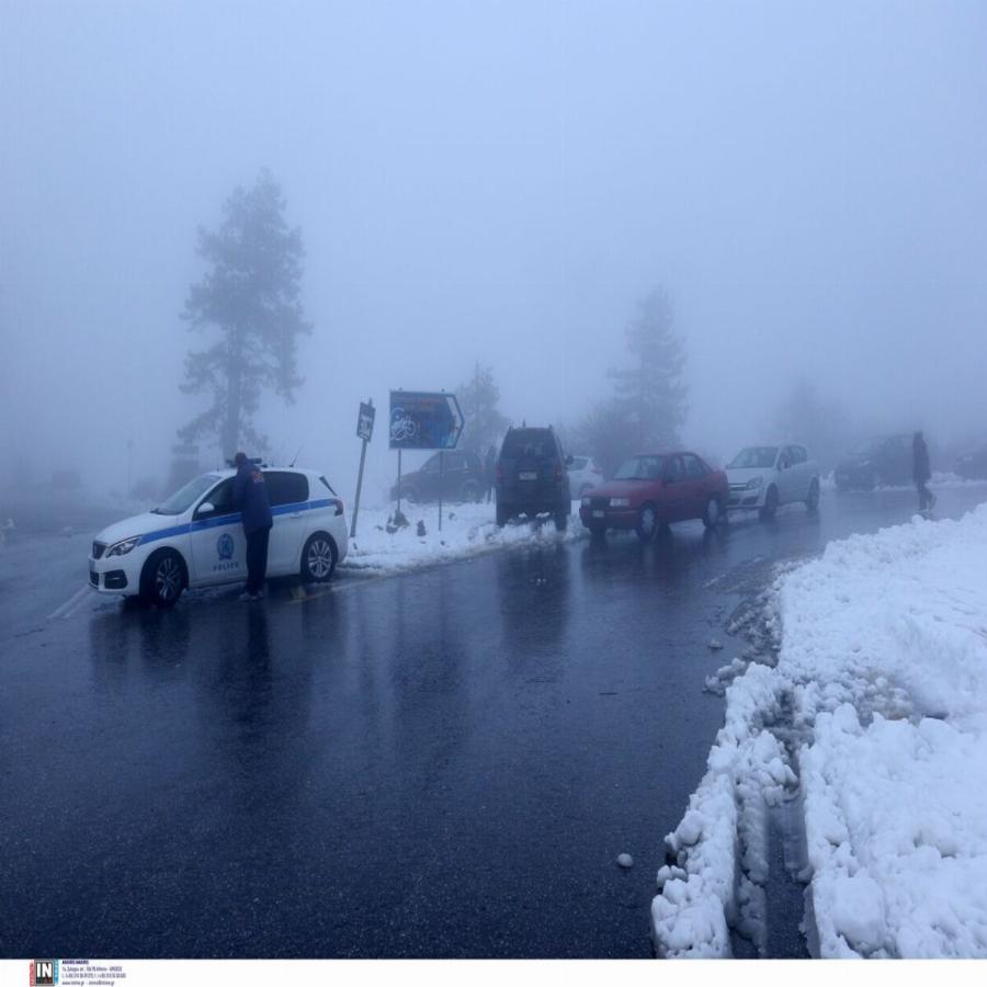 Ελάφια στην Πάρνηθα: Εντυπωσιακές εικόνες από το χιονισμένο τοπίο