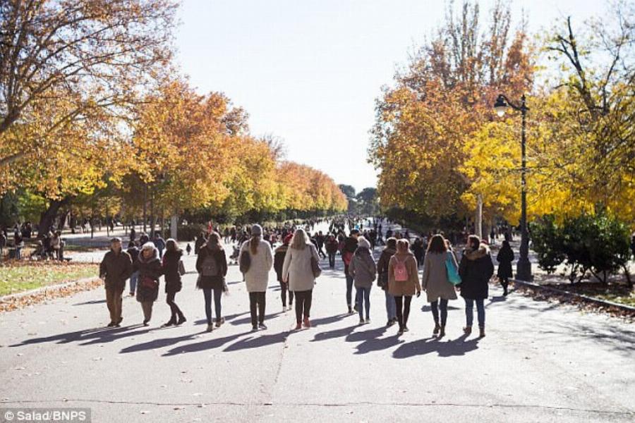 Eργοδότρια πήγε όλους τους εργαζομένους της διακοπές στη Μαδρίτη για τα Χριστούγεννα