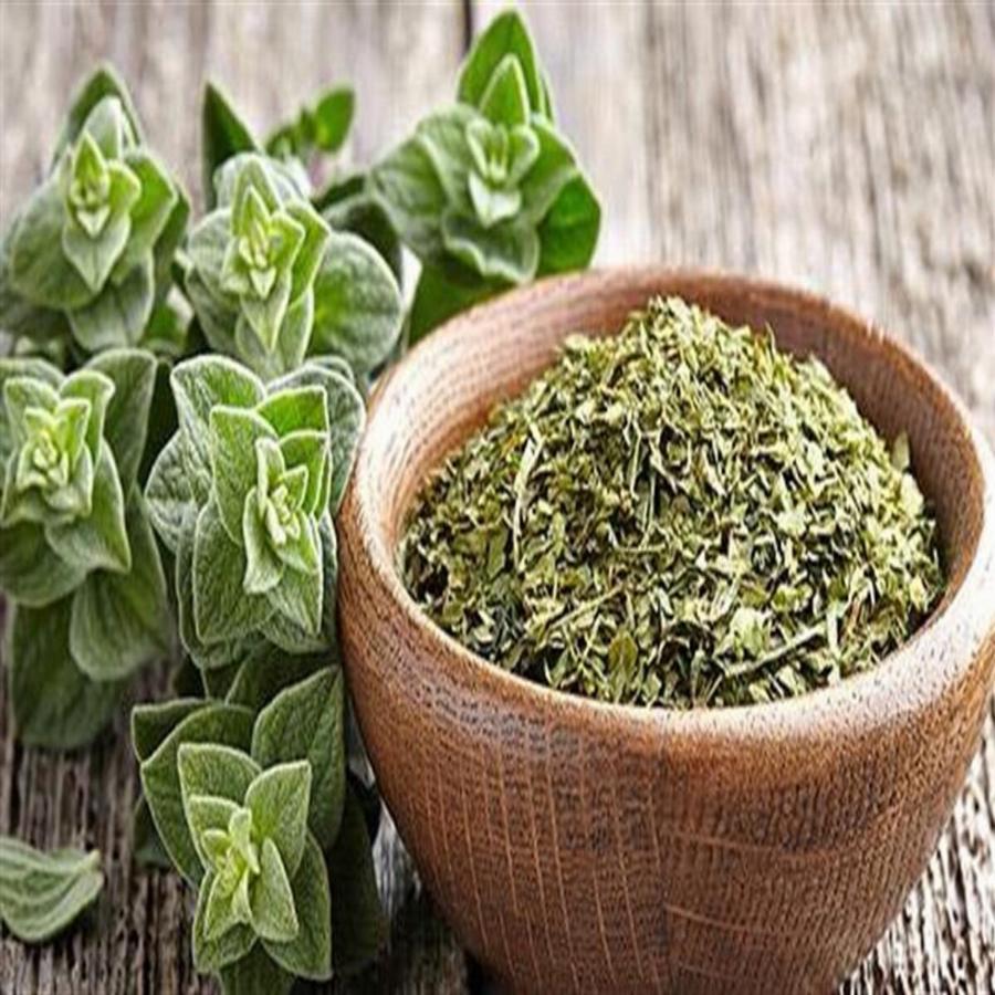 Ρίγανη: Δυναμώνει το σώμα, βελτιώνει τα σημάδια ψωρίασης, συμβάλλει κατά των μολύνσεων και κατά της δυσάρεστης αναπνοής