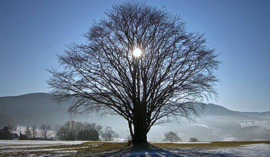 Σήμερα είναι η μεγάλη νύχτα του 2021 – Χειμερινό Ηλιοστάσιο