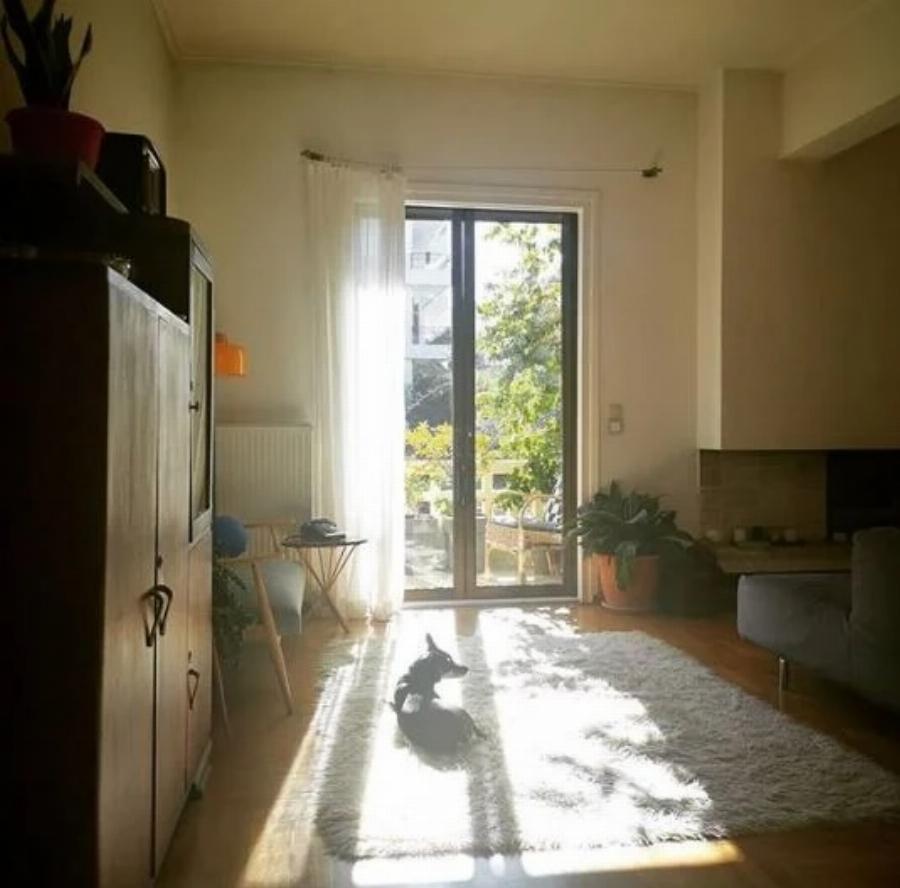 Κατερίνα Παππουτσάκη: Μετακόμισε στον Χολαργό – Η υπέροχη κουζίνα της και το μαγεμένο μπαλκόνι