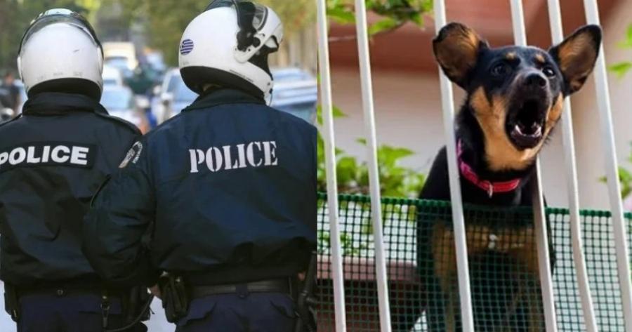 Γαβγίζει ο σκύλος σε ώρες κοινής ησυχίας; Ετοιμαστείτε να πληρώσετε πρόστιμο