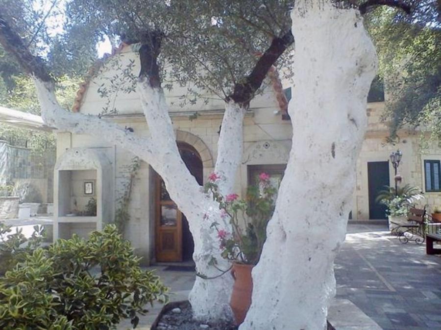 Άγιος Φανούριος: «Έπειτα από πολύ ταλαιπωρία και ατέλειωτο πόνο το μωρό θεραπεύτηκε»