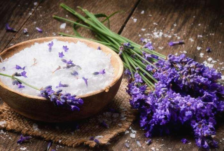 Λεβάντα: Ανακουφίζει από τον πονόδοντο, αντιμετωπίζει την πιτυρίδα και βοηθά στον εκνευρισμό