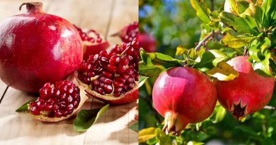 Ρόδια: Κάνουν καλό στην καρδιά και στην πίεση, βοηθάν στα προβλήματα χοληστερίνης και είναι πλούσια σε βιταμίνες