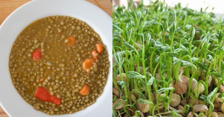 Φακές: Ενισχύσουν την υγεία, βοηθούν στην αντιμετώπιση φλεγμονών και του καρκίνου