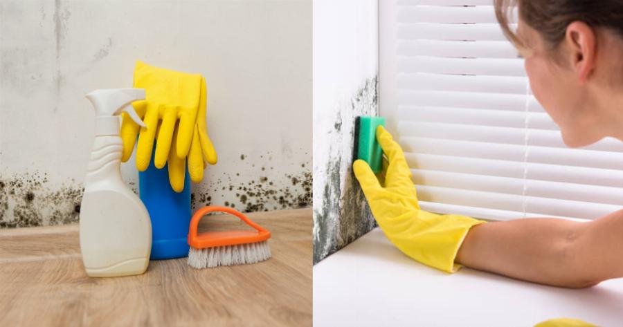 Μούχλα στους τοίχους: Πως θα την εξαφανίσετε μία για πάντα – 4 εύκολοι τρόποι να την αφαιρέσετε
