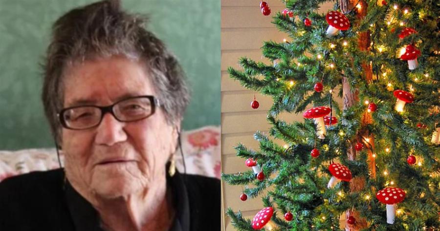 Η εξομολόγηση της κυρίας Θασούλας: «Τώρα που έρχονται Χριστούγεννα πονάω ακόμα πιο πολύ. Το σπίτι μοιάζει με κόλαση όταν βραδιάζει»