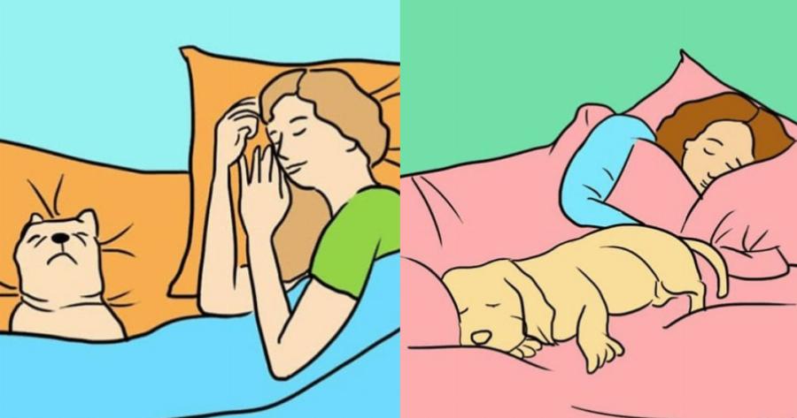 Τα πραγματικά οφέλη όταν αφήνετε τον σκύλο σας να κοιμάται μαζί σας