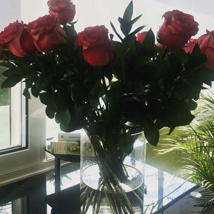 Διονύσης Σχοινάς – Καίτη Γαρμπή: Γιορτάζουν χρόνια αγάπης και αφοσίωσης – Οι σπάνιες φωτογραφίες από το γάμο τους