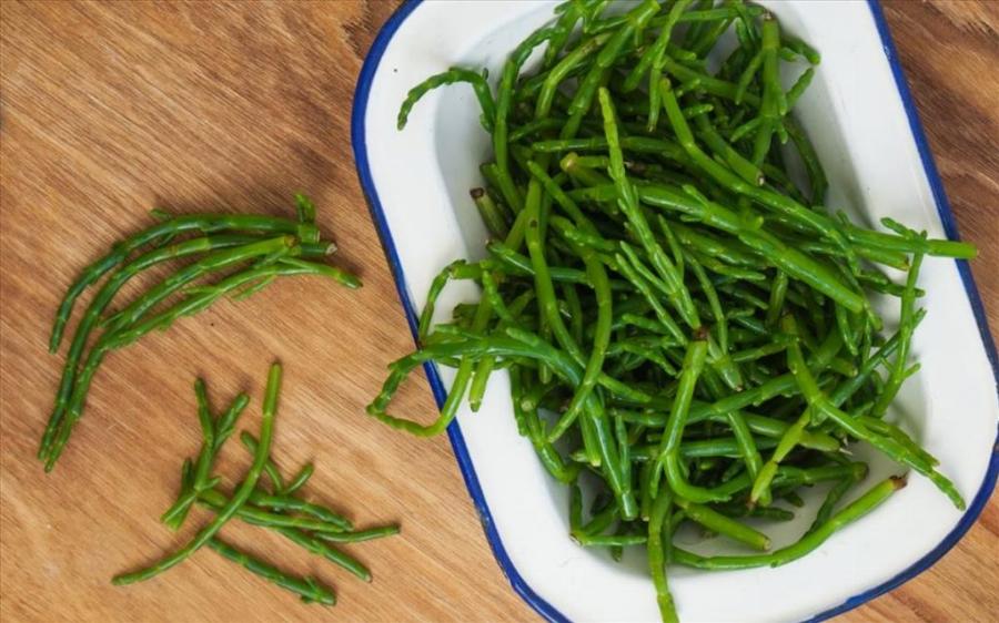 Κρίταμο: Το βότανο που εκτιμούσε ο Ιπποκράτης, η σπουδαία διατροφική αξία και τι να προσέχετε στην κατανάλωση