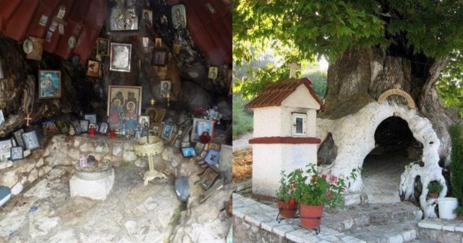 Πλάτανος που άντεξε πόλεμο και πυρκαγιά, μετατράπηκε σε ένα όμορφο εκκλησάκι της Παναγίας