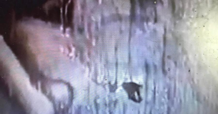 Δυο εβδομάδες δακρύζει η εικόνα του Χριστού σε εκκλησία σε στρατόπεδο