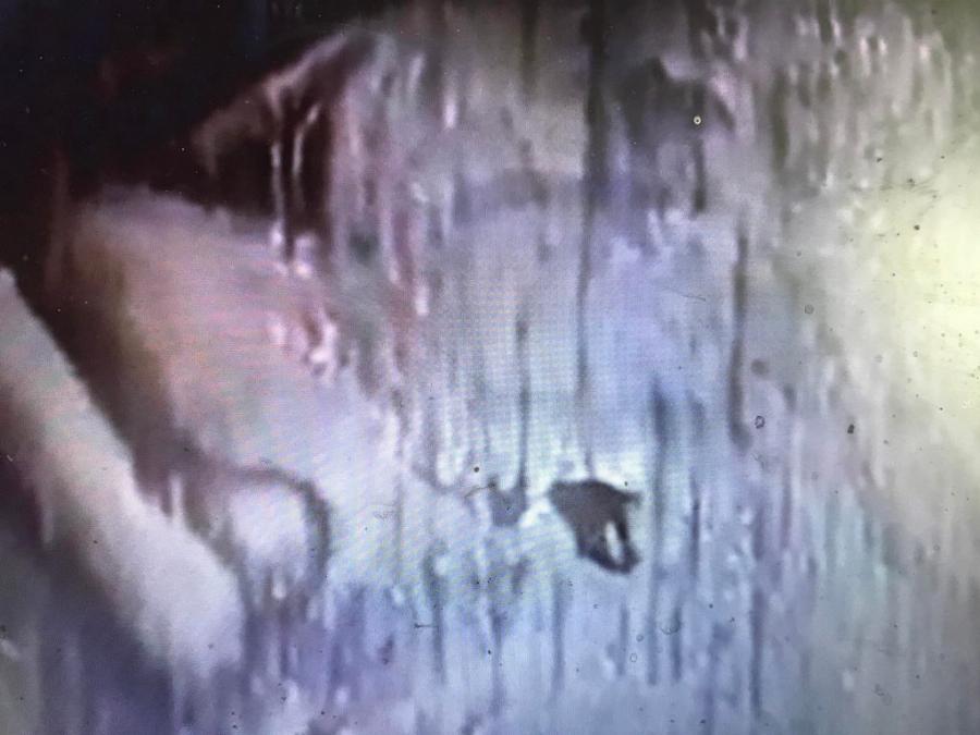 Δυο εβδομάδες δακρύζει η εικόνα του Χριστού σε εκκλησία σε στρατόπεδο