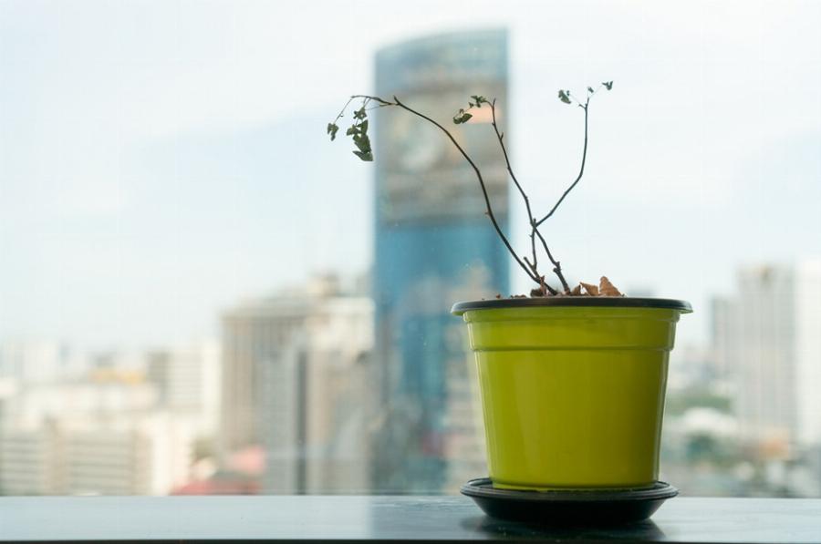 Φενγκ Σούι: Ποια είναι τα 5 πράγματα που φέρνουν γρουσουζιά στο σπίτι – Πρέπει να τα ξεφορτωθείς άμεσα
