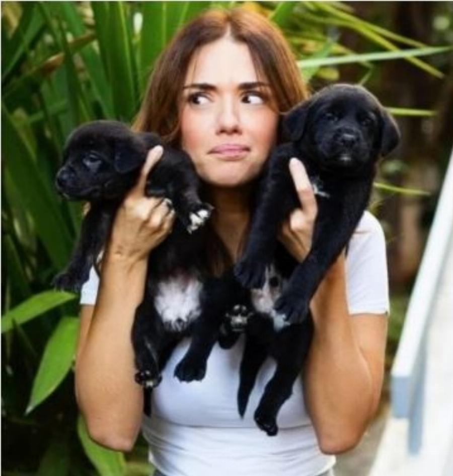 «Καλησπέρα στους φιλόζωους. Εμένα να βρίσετε!»: Η απάντηση του Λευτέρη Σουλτάτου για την επίθεση στη Λασκαράκη