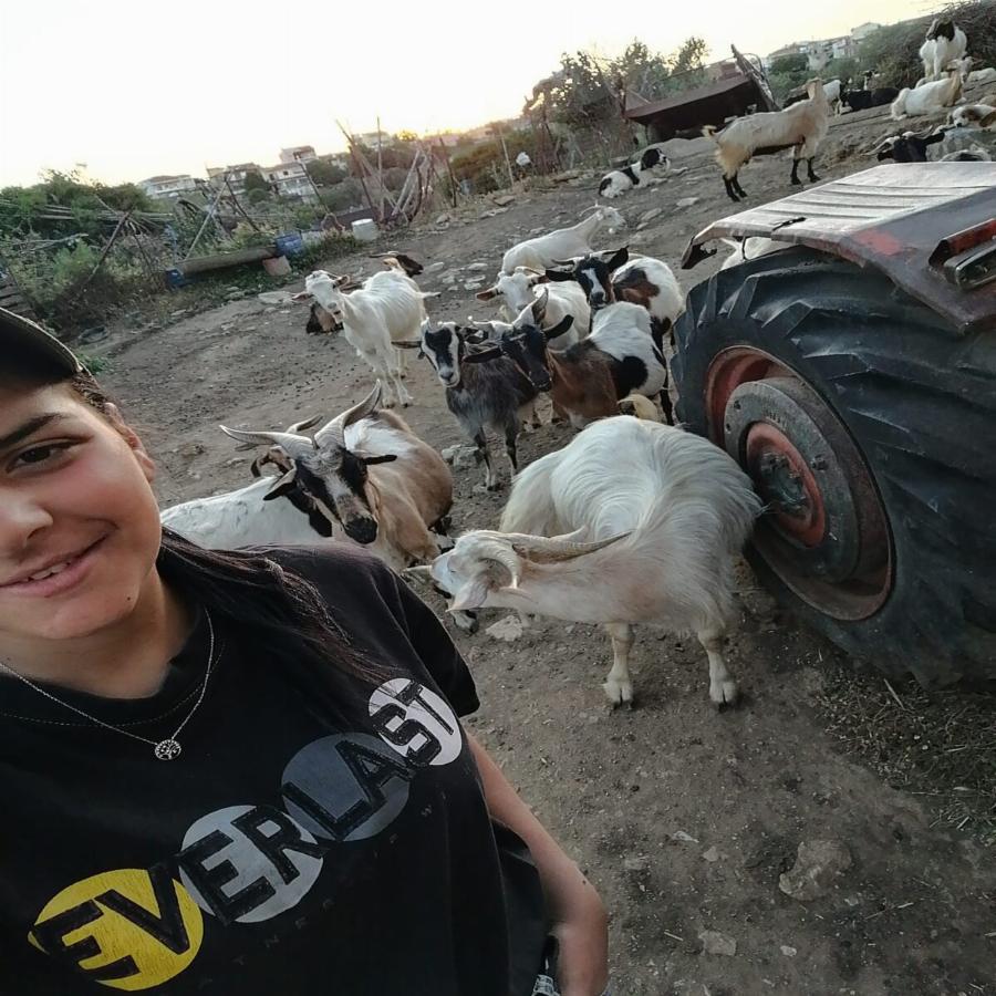 Μαρία Ρέτσα: H 20χρονη δεσποινίδα που βόσκει μόνη της 100 γιδοπρόβατα στην Εύβοια