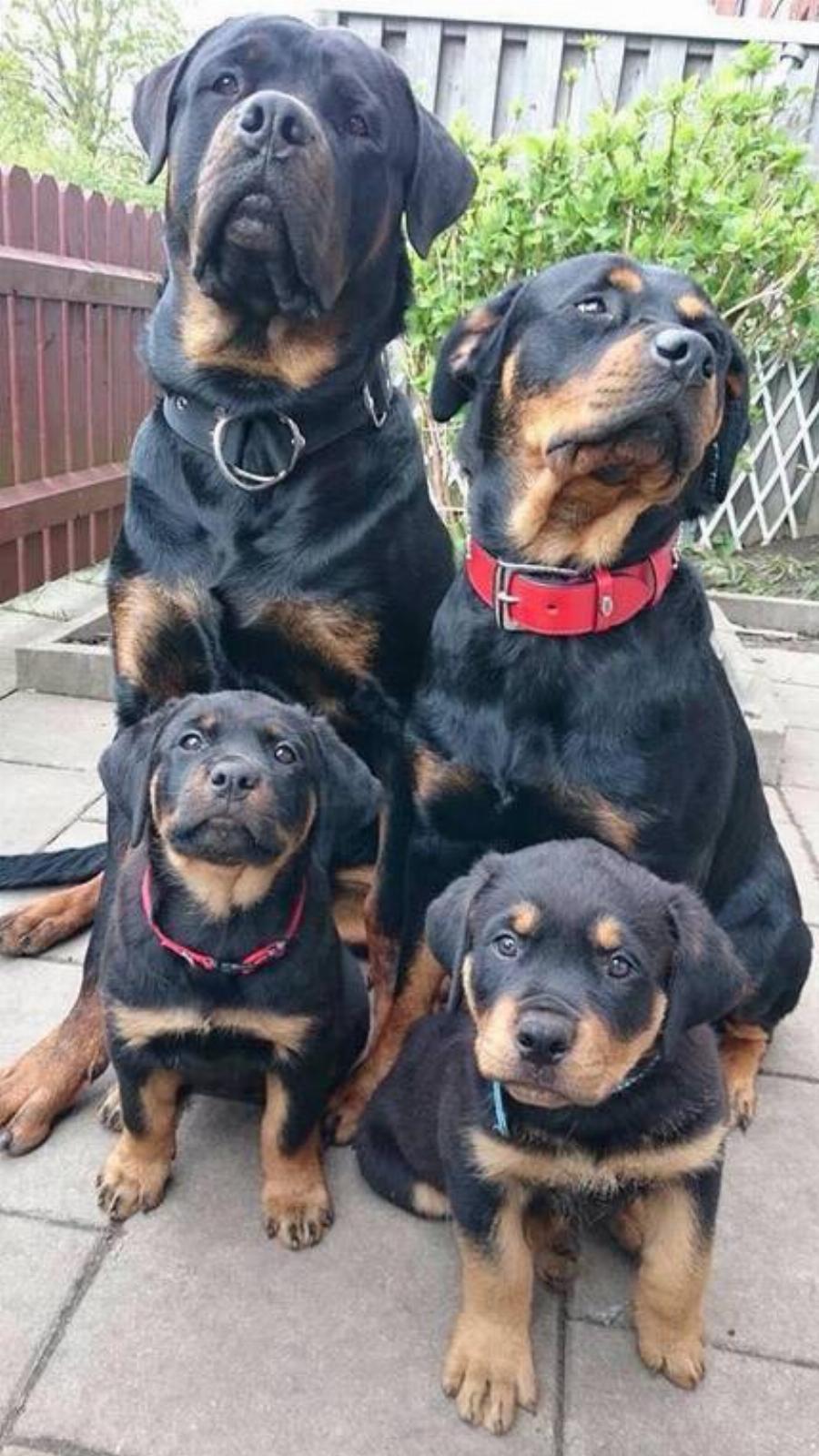 Νίκος Ξανθόπουλος: Η νέα του ζωή στη φύση, οι αγροτικές δουλειές και οι σπάνιες φωτογραφίες από το κτήμα του