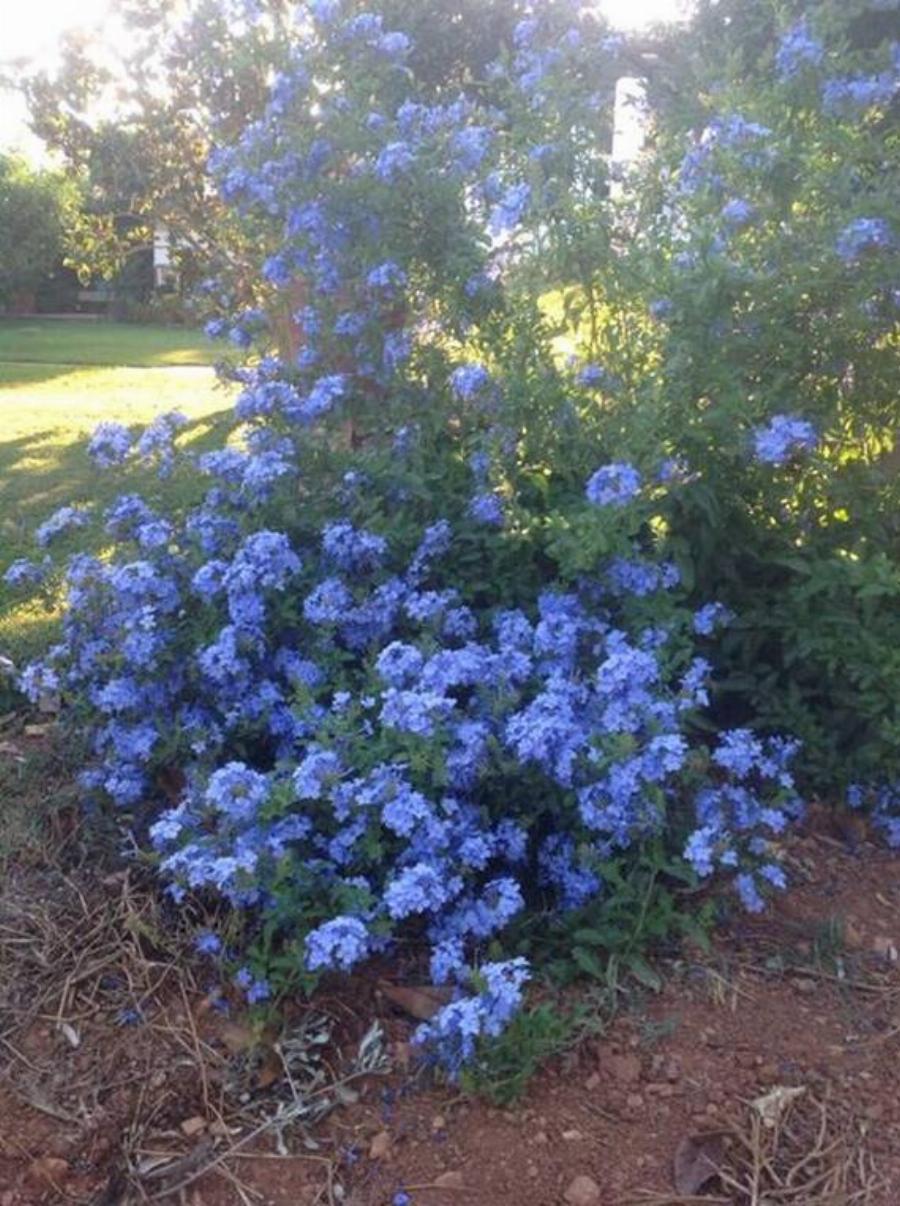 Νίκος Ξανθόπουλος: Η νέα του ζωή στη φύση, οι αγροτικές δουλειές και οι σπάνιες φωτογραφίες από το κτήμα του