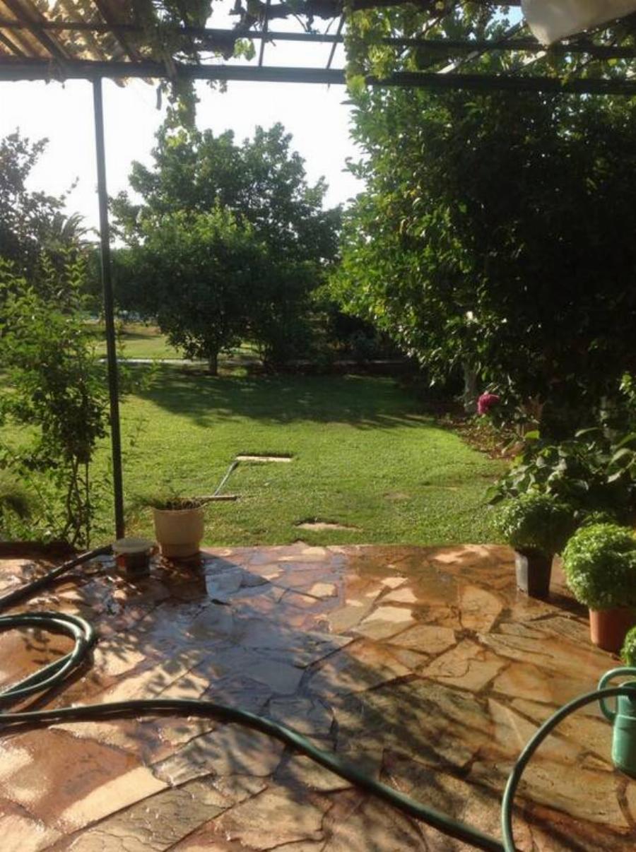 Νίκος Ξανθόπουλος: Η νέα του ζωή στη φύση, οι αγροτικές δουλειές και οι σπάνιες φωτογραφίες από το κτήμα του