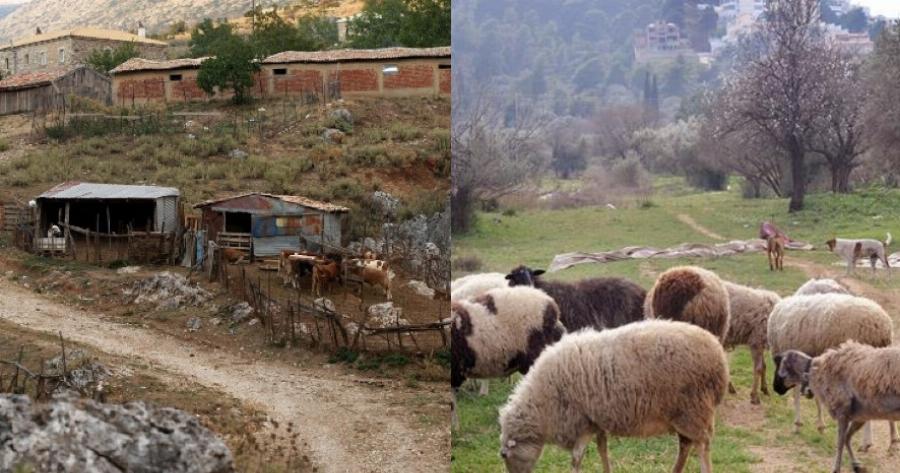 Βοσκός από την Αιτωλοακαρνανία βρήκε 50.000 σε δοχείο που αγόρασε και έκανε κεράσματα στο χωριό 14.000 ευρώ