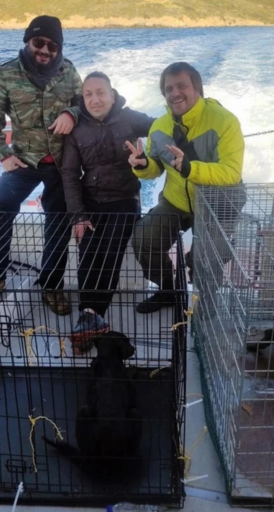 Διέσωσαν από την πείνα δεκάδες εγκαταλελειμμένα σκυλιά – «Απόβαση» φιλόζωων σε βραχονησίδα ανοιχτά της Χίου