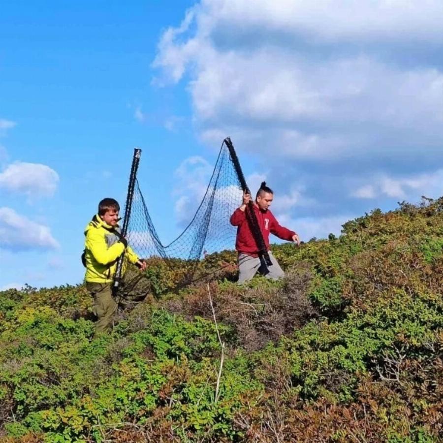 Διέσωσαν από την πείνα δεκάδες εγκαταλελειμμένα σκυλιά – «Απόβαση» φιλόζωων σε βραχονησίδα ανοιχτά της Χίου