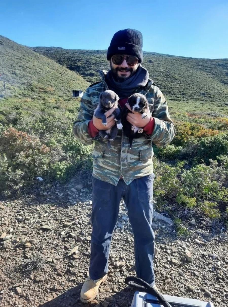 Διέσωσαν από την πείνα δεκάδες εγκαταλελειμμένα σκυλιά – «Απόβαση» φιλόζωων σε βραχονησίδα ανοιχτά της Χίου