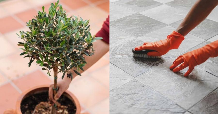 Φυσική συνταγή: Καθαρίστε τους καφέ λεκέδες που δημιουργούν οι γλάστρες στα πλακάκια
