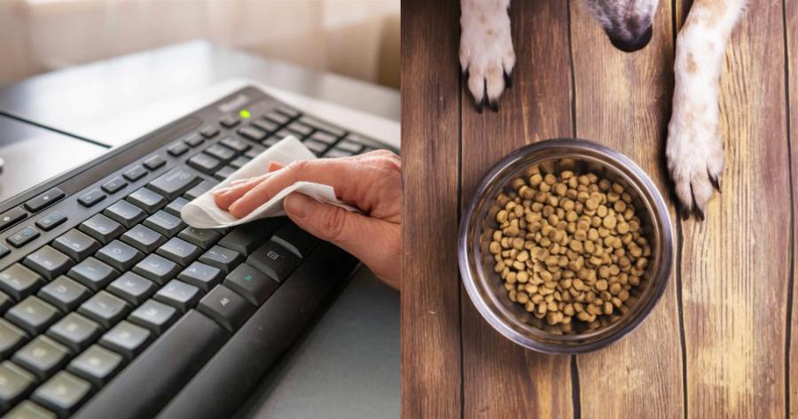 Απίστευτο: Τα 8 καθημερινά αντικείμενα που έχουν πιο πολλά μικρόβια και από την τουαλέτα σας