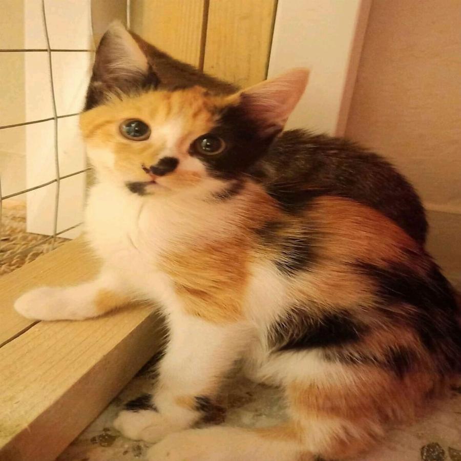 Δύσκολες ώρες για τον Σάκη Αρναούτογλου: Η συγκινητική ανάρτηση του μετεωρολόγου