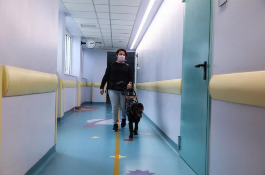 Ιωάννα-Μαρία Γκέρτσου: Τυφλώθηκε στη θερμοκοιτίδα, σπούδασε ψυχολογία και ίδρυσε την πρώτη σχολή για σκύλους-οδηγούς τυφλών στην Ελλάδα