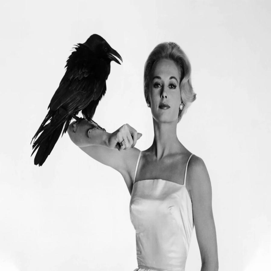 Στέλλα Μπαντέρας: Η κόρη των Αντόνιο Μπαντέρας και Μέλανι Γκρίφιθ έχει μεγαλώσει, είναι μια γοητευτική δεσποινίδα και μοιάζει στη διάσημη γιαγιά της