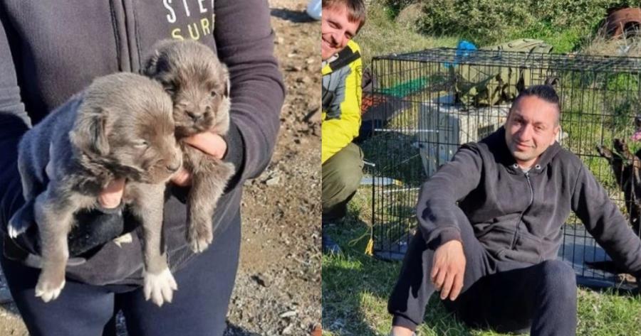 Διέσωσαν από την πείνα δεκάδες εγκαταλελειμμένα σκυλιά – «Απόβαση» φιλόζωων σε βραχονησίδα ανοιχτά της Χίου