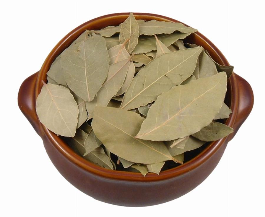 Πείτε αντίο στις κατσαρίδες: Οι 3 φυσικοί τρόποι για να διώξετε την μικρή Τερέζα από το σπίτι σας