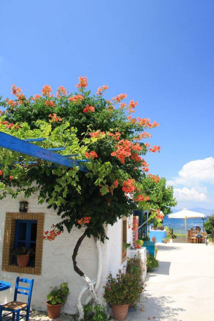 Ενδεχομένως η καλύτερη πόλη σε ποιότητα ζωής για να ζεις στην Ελλάδα