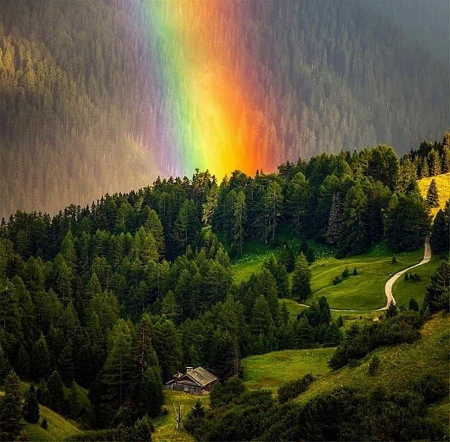 Τα 20 πιο ονειρεμένα σπίτια που είναι λες και βγήκαν από τα πιο όμορφα παραμύθια