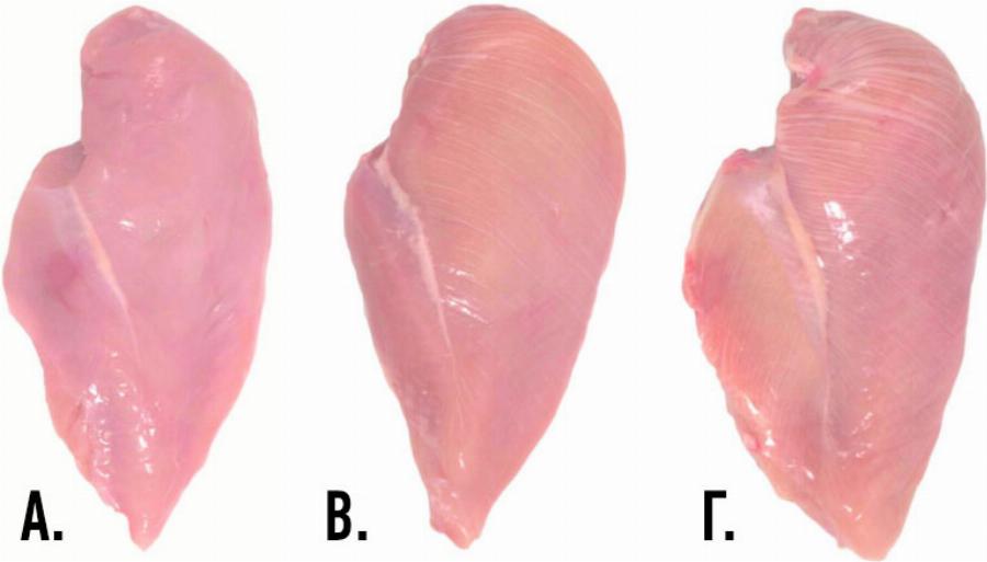 Προσοχή στο κοτόπουλο: Μην αγοράζετε φιλέτα που έχουν αυτά τα σημάδια