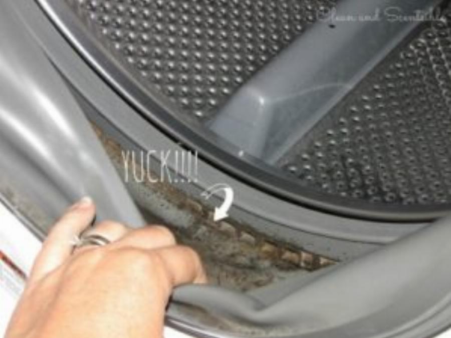 Ο καλύτερος τρόπος για να μυρίζει το πλυντήριο πάντα υπέροχα